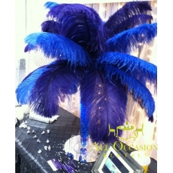 Center Pieces Feathers