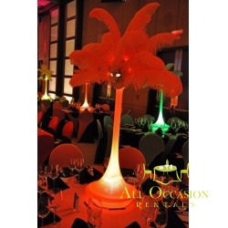 Feathers Centerpieces FCP-02