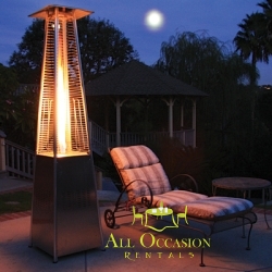 Glass Tube Propane Patio Heater in Stainless Steel