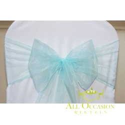 Organza Sash Baby Blue