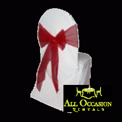 Organza Sash Burgundy