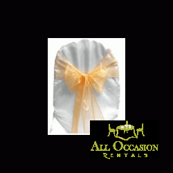 Organza Sash Peach