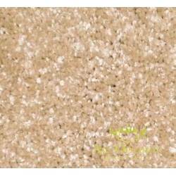 Ten Carpet