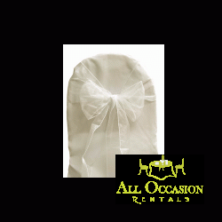Organza Sash Ivory