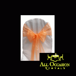 Organza Sash Orange