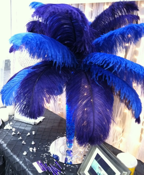 Center Pieces Feathers