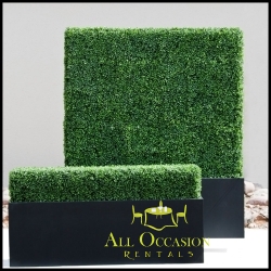 Boxwood Hedge Panels