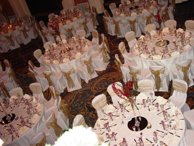 Ballroom Chair Cover