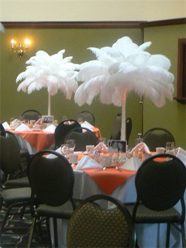 Feathers Centerpieces FCP-83