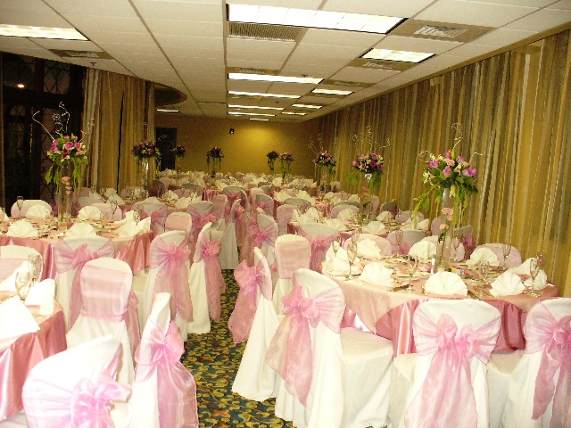 Organza Sashes