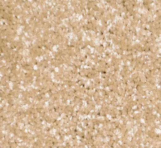 Ten Carpet