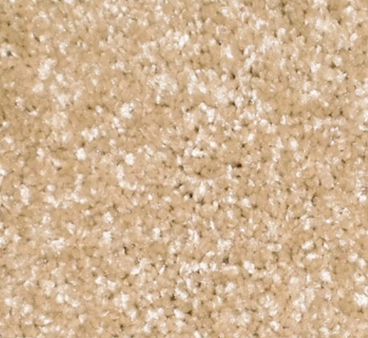 Ten Carpet