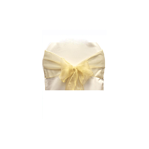 Organza Sash Champagne